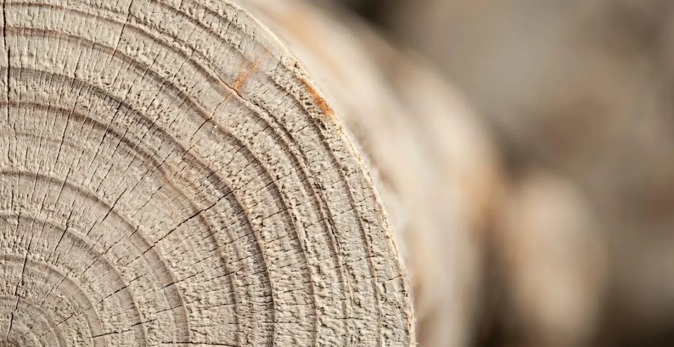 Calendrier abstrait illustrant les dates optimales pour les versements sur livret d'épargne